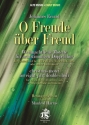 O Freude ber Freud fr 8 stg Doppelchor, Blockflten, Violen da Gamba oder andere Instrumente Partitur und Stimmen