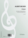 Adagio op.20 fr Violine und Orgel (Klavier)