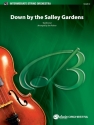 Down By The Salley Gardens (s/o) String Orchestra