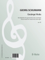 Gesnge Hiobs op.60 fr gem Chor/Doppelchor und Orgel Partitur
