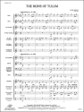 The Ruins of Tulum (c/b score) Symphonic wind band