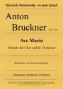 Ave Maria - Motette fr Chor und kl. Orchester