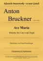 Ave Maria - Motette fr Chor und Orgel