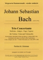 Trio Concertante fr Violine, Viola & Violoncello