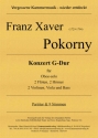 Konzert G-Dur