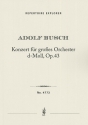 Concerto for large orchestra in D minor op. 43 Orchestra