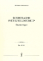 Sturmvgel (full opera score with German libretto) Opera