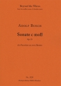 Sonata C minor for Pianoforte Op. 25 (Piano performance score) Solo Piano Performance Score