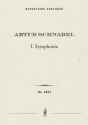 Symphony No. 1 Orchestra