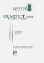 Quartett C-Dur KVAnh.171 (285b) fr 2 Flten (fakultativ fr 3 Flten) Spielpartitur