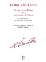 Schottish-Chro Guitar Book