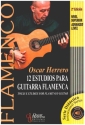 12 Estudios (+Online Audio) para guitarra flamenca/tabulaturas sp/en/fr