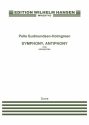 Pelle Gudmundsen-Holmgreen, Symphony Antiphony Orchestra Partitur