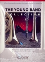 The young Band Collection Tenorsaxophon