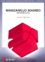 Manzanillo Mambo for 4 flutes score and parts