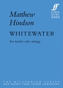 Whitewater for 12 solo strings score