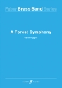 Higgins, Gavin Forest Symphony, A (brass band sc/pts)  Brass band