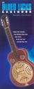 The Blues Guitar Licks Casebook