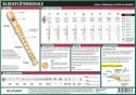 Info-Tafel Blockfltenschule (barockes System) Din A4, laminiert