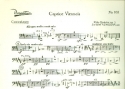 Caprice viennois op.2 fr Salonorchester Kontrabass