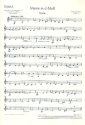 Messe in d-Moll CWV 91 fr Frauenchor (SMezA), 2 Soli (Sopran/Alt) und Orgel, Streicher ad li Einzelstimme - Violine II