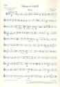 Messe in d-Moll CWV 91 fr Frauenchor (SMezA), 2 Soli (Sopran/Alt) und Orgel, Streicher ad li Einzelstimme - Viola