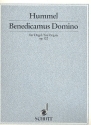 Benedicamus Domino op.102 fr Orgel