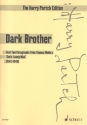 Dark Brother for voice and 4 instruments study score