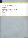 Springs in the Forest op. 6 for Zheng