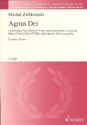 Agnus Dei fr Sopran und gem Chor a cappella Partitur
