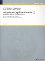 Adiantum Capillus-Veneris Nr.1 fr Stimme und Atem (ad lib verstrkt) (1 Ausfhrender)