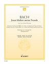 Jesus bleibet meine Freude BWV147 für Oboe und Klavier