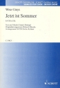 Jetzt ist Sommer fr gemischten Chor (SATB) und Vocal Drumming Chorpartitur