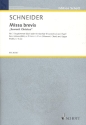 Missa brevis 