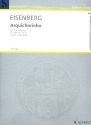 Arquichorinho fr Flte und Gitarre Partitur und Stimme