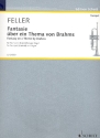 Fantasie ber ein Thema von Brahms fr Trompete (Klarinette) und Orgel