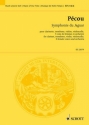 Pcou, Thierry: Symphonie du Jaguar fr Klarinette, Posaune, Violine, Violoncello, 5 Frauenstimmen und Orc Studienpartitur