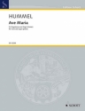 Ave Maria fr Gesang und Orgel (Klavier) Partitur