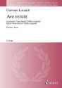 Ave verum fr gem Chor a cappella Partitur