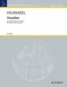Vocalise fr mittlere Singstimme und Klavier