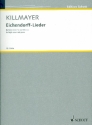 Eichendorff-Lieder fr Gesang (hoch) und Klavier Partitur