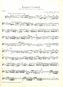 Konzert e-Moll fr Flte, Streichorchester und Bc Viola