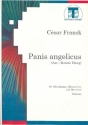 Panis angelicus fr Solo, Mnnerchor und Streicher Partitur