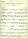 Wachet auf ruft uns die Stimme Kantate Nr.140 BWV140 Violine piccolo (Griffnotation)
