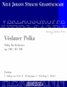 Strau (Sohn), Johann, Vslauer Polka op. 100 RV 100 Orchester Partitur und Kritischer Bericht