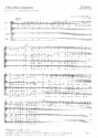 Alma Dei creatoris KV277 (KV272a) fr Soli, gem Chor, 2 Violinen und Bc (3 Pos ad lib) Chorpartitur