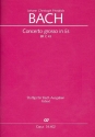 Concerto grosso Es-Dur fr 2 Oboen, 2 Cornette, 2 Violinen, Viola, Bass und Pianoforte  Partitur
