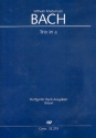 Trio a-Moll BR-WFB:B15 (Fk49) fr 2 Flten und Bc Partitur und Stimmen (Bc nicht ausgesetzt)