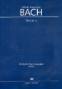 Trio a-Moll BR-WFB:B15 (Fk49) fr 2 Flten und Bc Partitur und Stimmen (Bc nicht ausgesetzt)