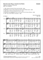 Bereitet die Wege bereitet die Bahn Kantate Nr.132 BWV132 Chorpartitur